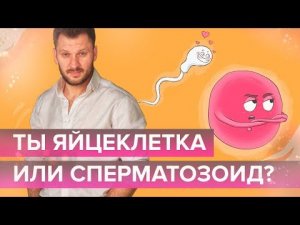 Ты яйцеклетка или сперматозоид?