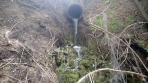 Река Сейм. Исток. Карты врут.