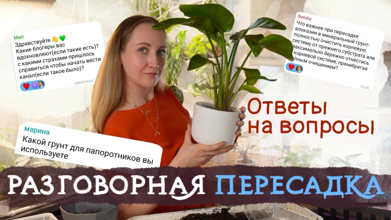 Большая РАЗГОВОРНАЯ ПЕРЕСАДКА | Отвечаю на вопросы подписчиков 💚 смотреть онлайн