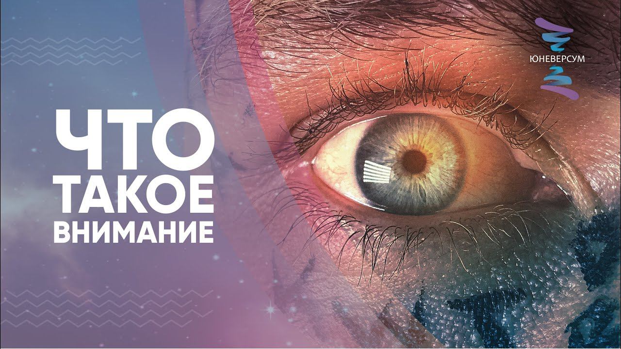 Что такое внимание. Ответы на вопросы. ЮНЕВЕРСУМ. Проект Вячеслава Юнева