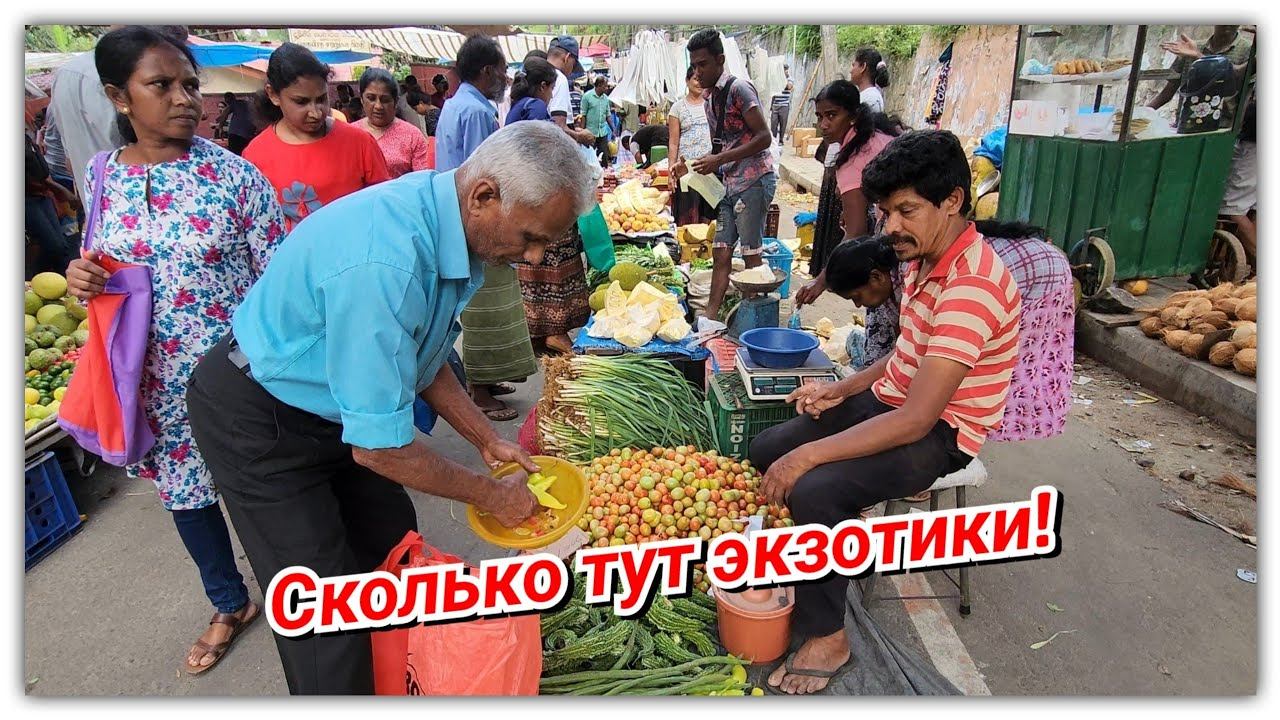 #108 Местный рынок Шри-Ланки. Много всякого незнакомого смотреть онлайн