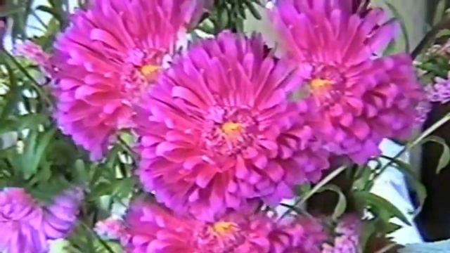 Футажи и фоны для видео смотреть онлайн