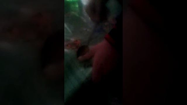 Как делать пудру домашних условиях смотреть онлайн