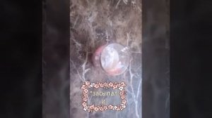 Кекс в микроволновке за 5 мин.|  БЕЗ кофе и какао| ♥(✿ฺ´∀`✿ฺ)ﾉ