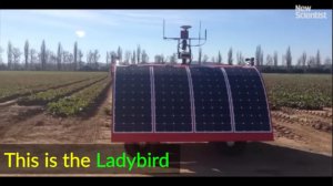 Сельскохозяйственные роботы Австралии