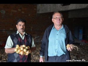 Сузан В. Г. и фермер Роман Алыев О преимуществе выращивания лука-шалот на зелень