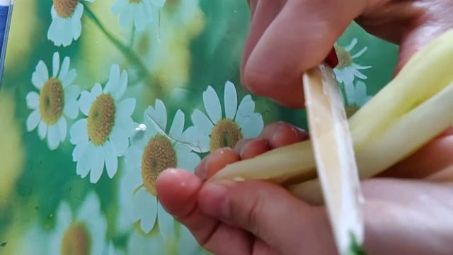 ИСПАНСКИЙ СУП- ГАСПАЧО! SОUP- GASPACHО! ОРГАНИЧЕСКАЯ ЕДА- ORGANIC FOOD! смотреть онлайн