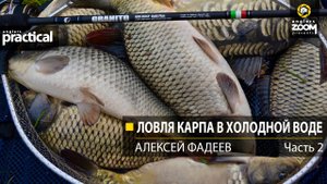 Ловля карпа в холодной воде. Алексей Фадеев. 2 часть