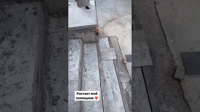 СЕГОДНЯ СНИМАЕМ РЕЦЕПТ ? ПИЦЦЫ С НАСТОЯЩИМ ШЕФ-ПОВАРОМ? смотреть онлайн