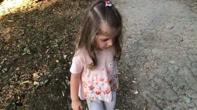 Сафари парк Краснодар смотреть онлайн