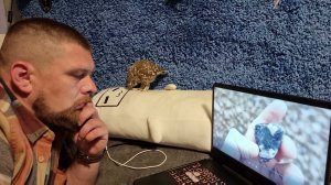 Ретро-видео с ещё добрым совёнком Лучиком, летним котом Мурлоком и поеданием саранчи