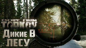Лес Диких - Escape From Tarkov День 3 Развитие с Нуля