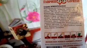 Посадка СПАРЖИ "Аржентельская" на Рассаду.часть1. 19 марта 2021г.