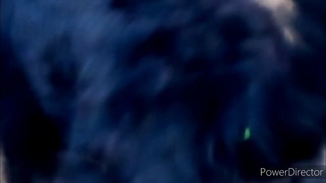 Чёрный терьер Джефф во всей красе смотреть онлайн