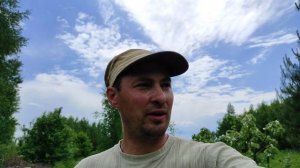 Пересадка айвы поздней осенью в октябре, обзор результата после пересадки в мае начало цветения.
