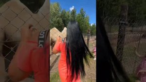 База отдыха Алёнушка 08.07.2023