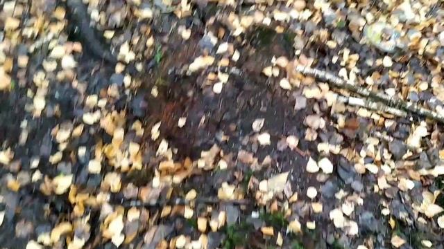 Весь металл вывезли и сдали смотреть онлайн