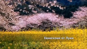 Евангелие от Луки / Глава 11