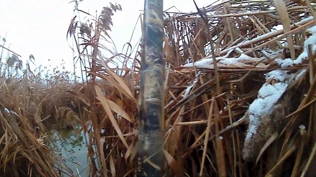 15.01.2018 охота на утку(4) смотреть онлайн