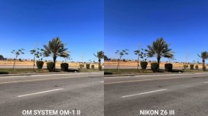 OM System Om-1 Mark II Vs Nikon Z6 III Camera Test Comparison