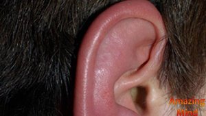 Горит Ухо? Кто судачит о вас?