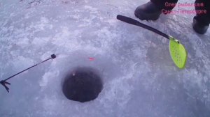 Ловлю ротанов