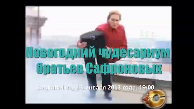 Новогодний чудесариум братьев Сафроновых