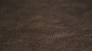 ViDA start – online обучение химчистке диванов – удаление пятен