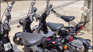 Honda Bite 50CC | Sakura Enterprises