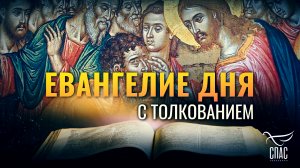 «И ТОТЧАС ПРОЗРЕЛИ ГЛАЗА ИХ, И ОНИ ПОШЛИ ЗА НИМ» / ЕВАНГЕЛИЕ ДНЯ