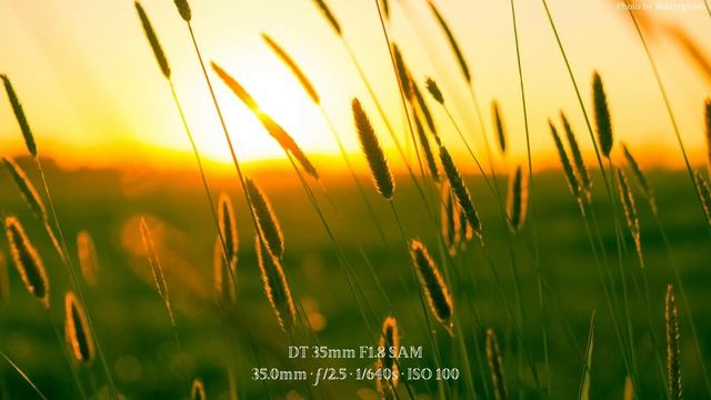 Sony SLT-A58 ? Sample Photography - Image Quality смотреть онлайн