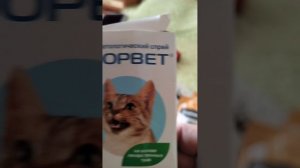 Кубки кошке, подарки мне?