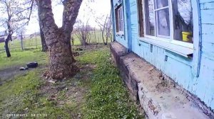Обустройство участка