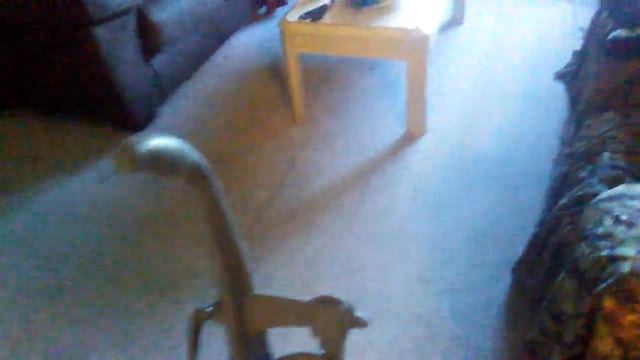 KIRBY G10 SENTRIA UPRIGHT VACUUM IN ACTION смотреть онлайн