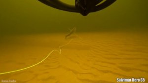 Подводная Охота - Самые Большие Рыбы добытые из Лучших Ружей! Сом/Сазан/Амур/Судак/Толстолобик.