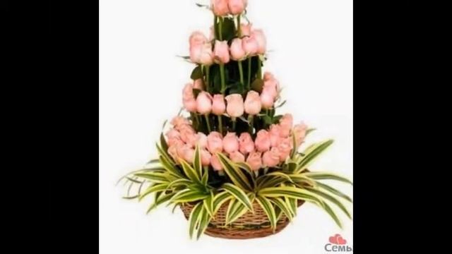 Мое слайд-шоу МОИ ЛЮБИМЫЕ ЦВЕТЫ смотреть онлайн