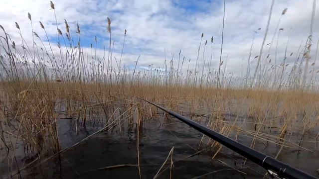 Ловля карася в камыше. Боковой кивок. (оз. Хохловатое) смотреть онлайн