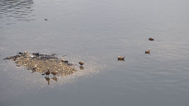 モスクワ Moscow / Olympus OM-D E-M5 Mark II смотреть онлайн