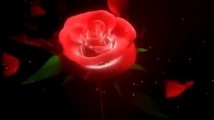 Я хочу подарить вам цветы