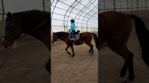 Девочки на конной тренировке