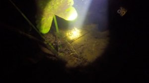 Подвоная охота с лазерным целеуказателем