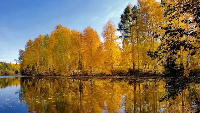 Применяем текстовые маски. ProShow Producer смотреть онлайн