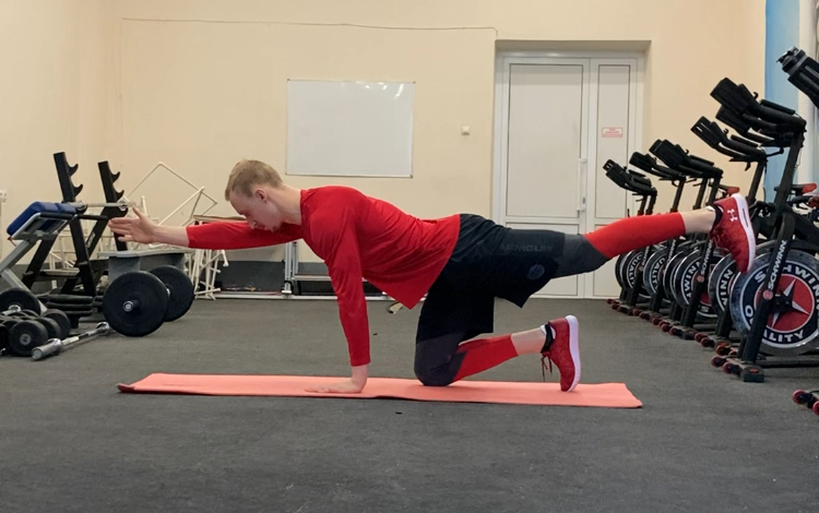 Птица-собака смотреть онлайн