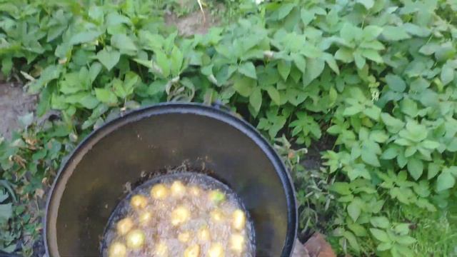 Курица с молодой картошкой в казане. Так вы ещё не пробовали! смотреть онлайн