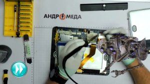 Разбор "По болтикам" inch Regulus 2 ITWGN97003