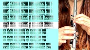 The Blarney Pilgrim Jig - TIN WHISTLE TABS TUTORIAL | Irish Music