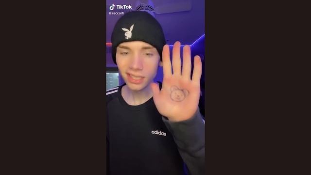 This Is Teddy Teddy Says Hi I TikTok Compilation