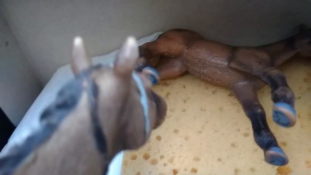 СМОТРЕТЬ ВСЕМ! ОЧЕНЬ ВАЖНО! смотреть онлайн