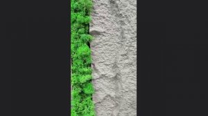 VID-20240508-WA0008 (online-video-cutter.com)