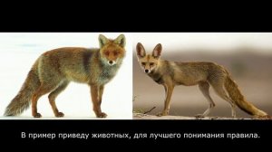 Адаптация человека к окружающей среде.